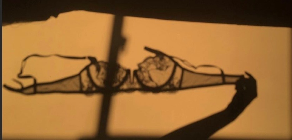 Mevrplezier banner image
