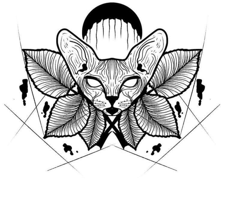 Mevz banner image