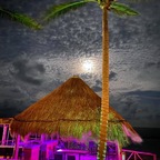 Mex4BBC avatar