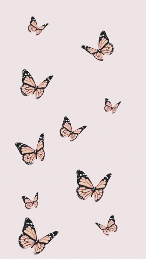 💛 cover image