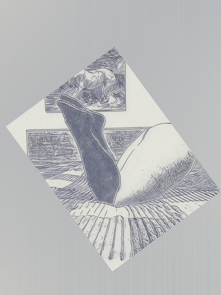 Mia cover image