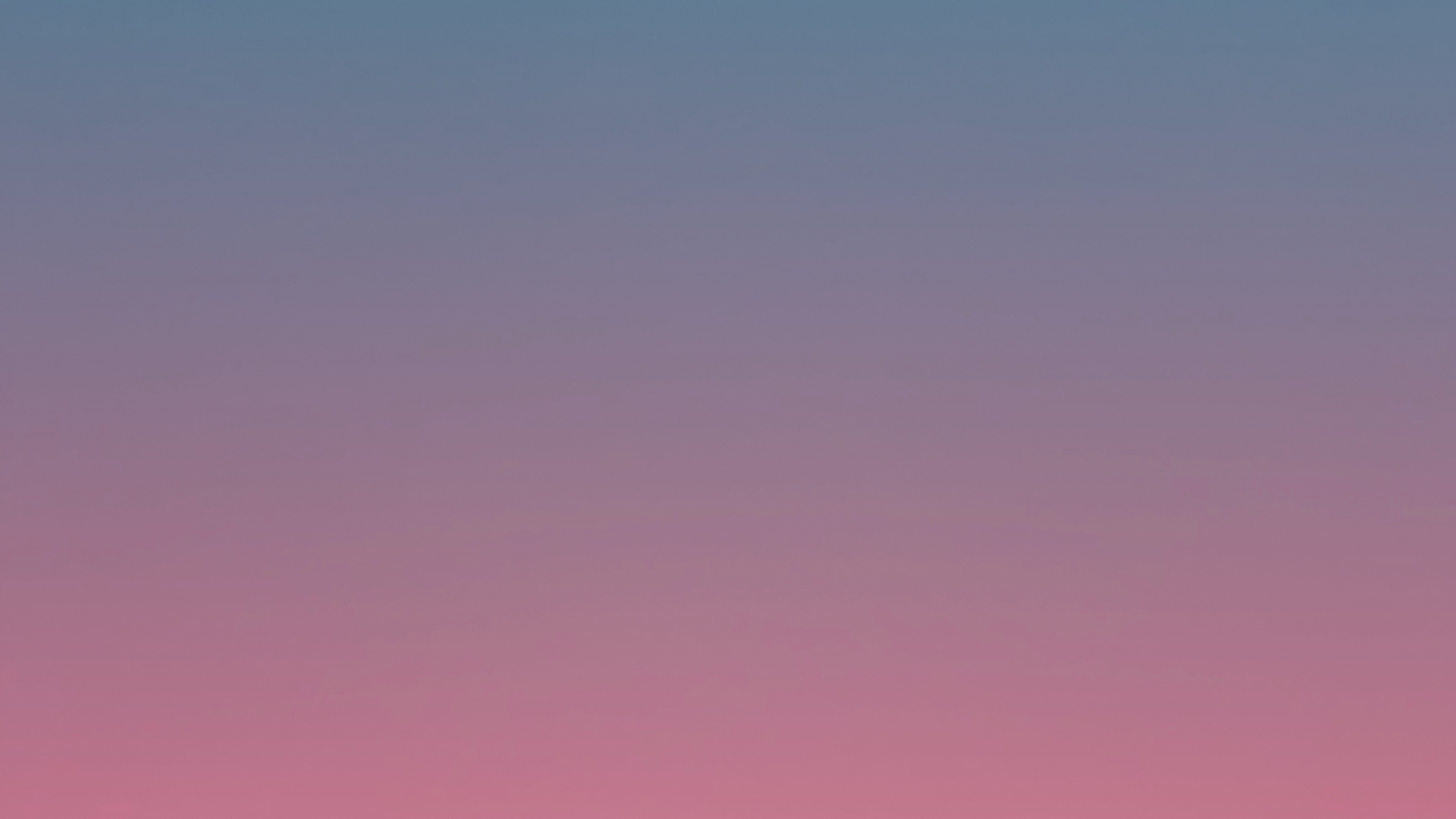 Miamia banner image