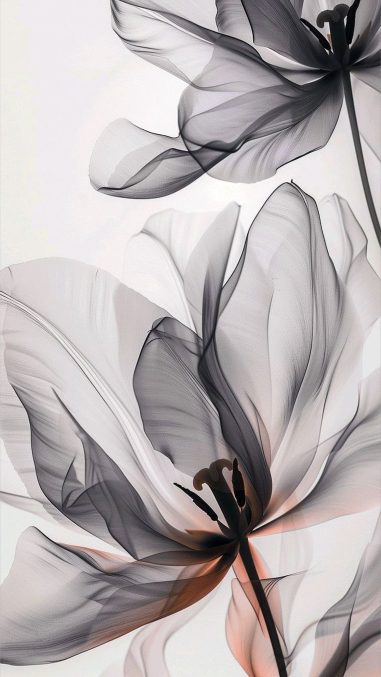 miaπ banner image