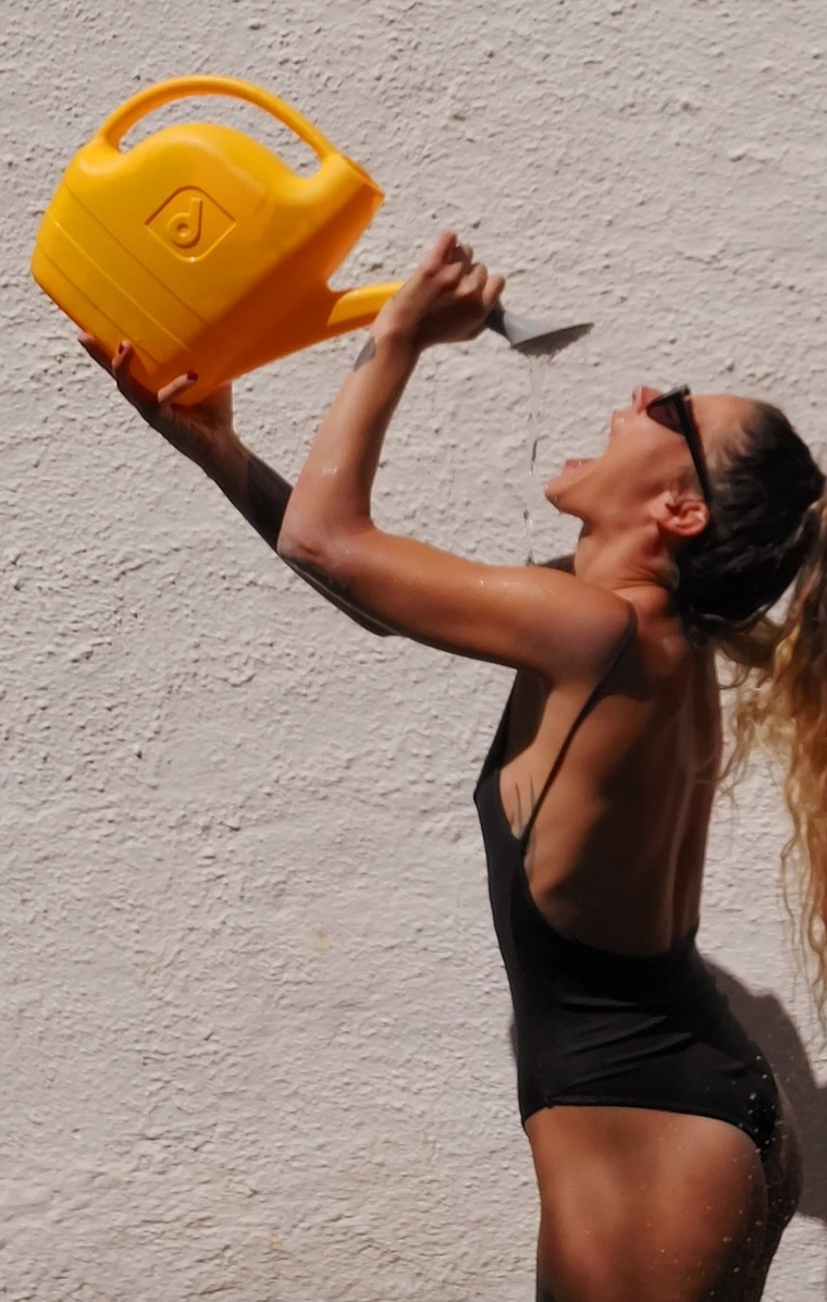 Ácida sulfurica cover image