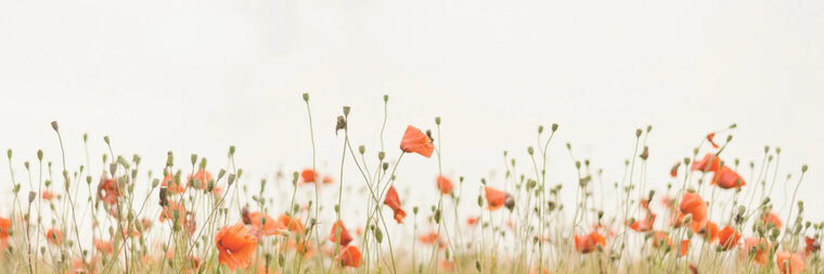 Mia Cobain Feet banner image
