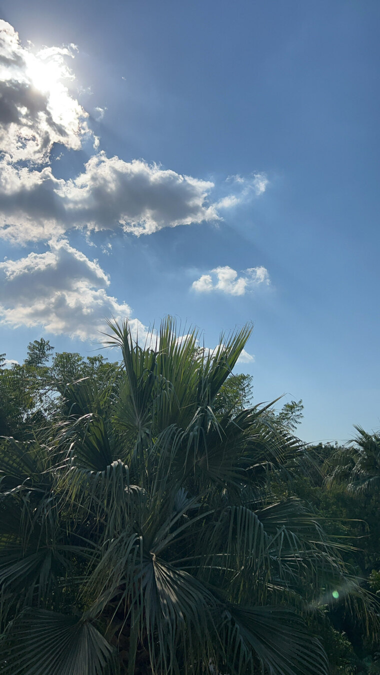 Mia ruvee banner image