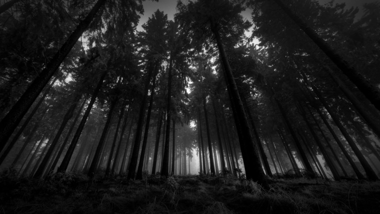 Mia Stoltz 🖤 banner image