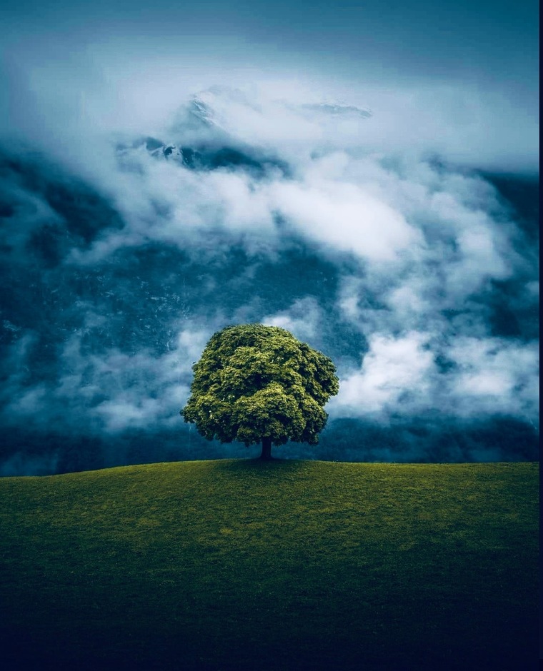 Miausculos🍃 cover image