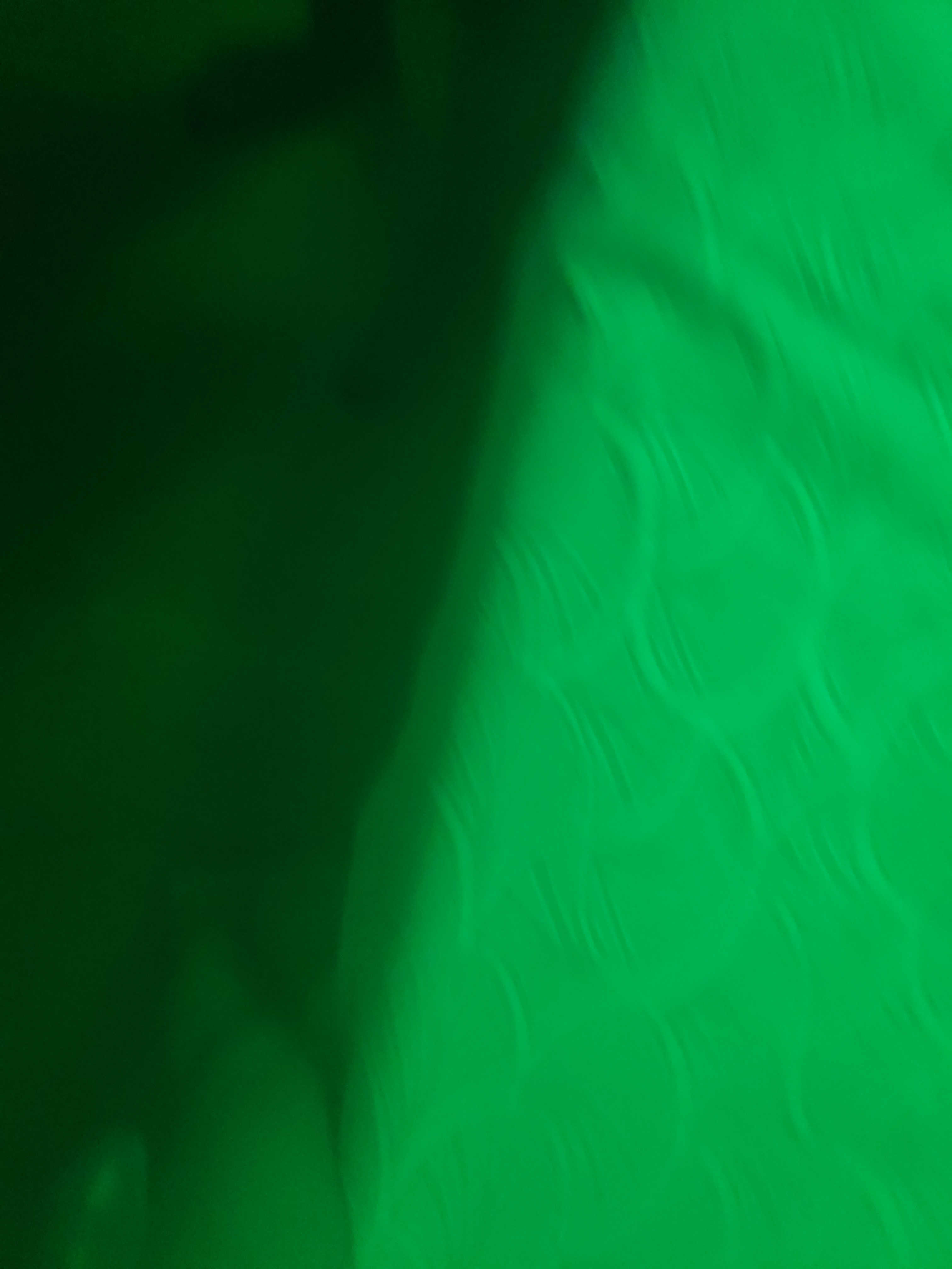 miaw cat banner image