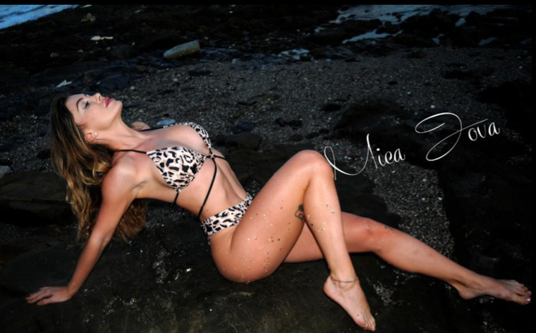 MicaJova cover image