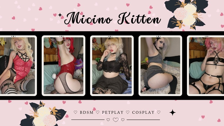 Micino Kitten 🖤 cover image