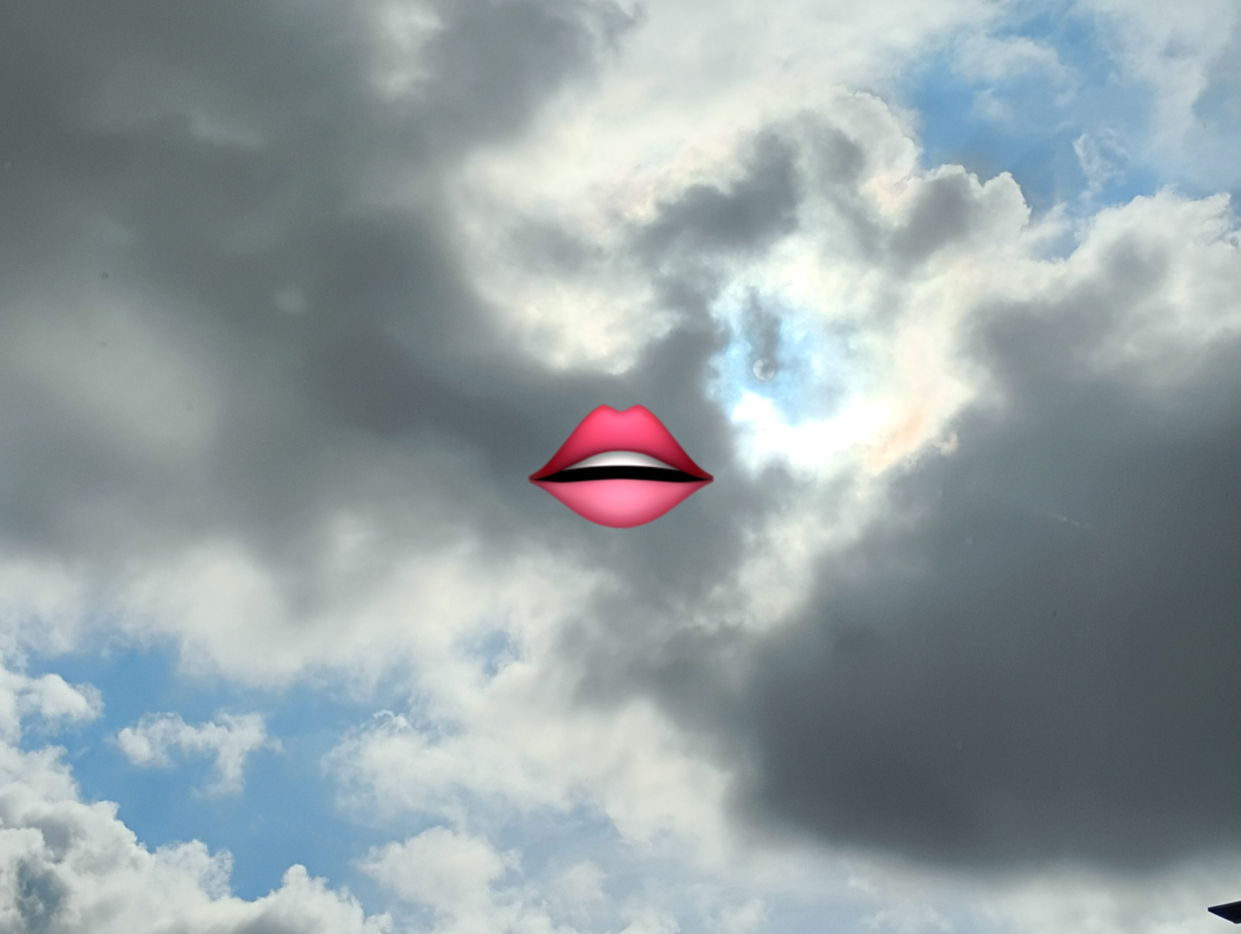 π Mickie Bee π banner image