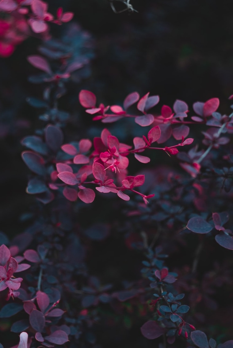 Felicity Mille cover image