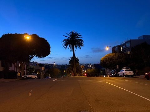 Midnight Asana cover image