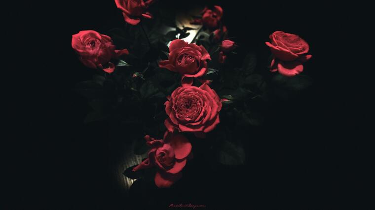 Midnight Mistress cover image