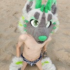 Midorifox avatar