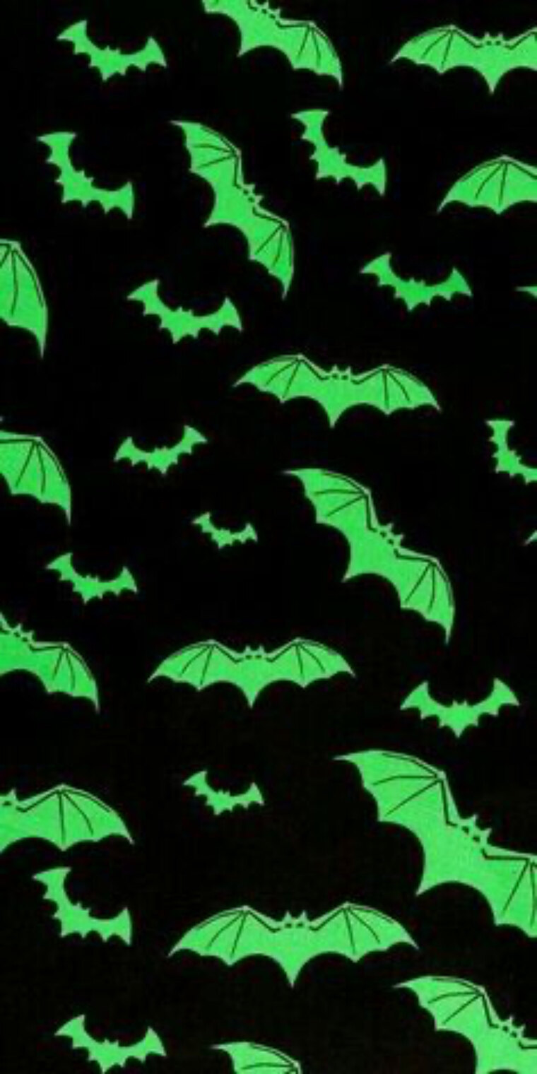 Midori 緑 banner image