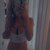 Midwest Honey Mae DAILY avatar