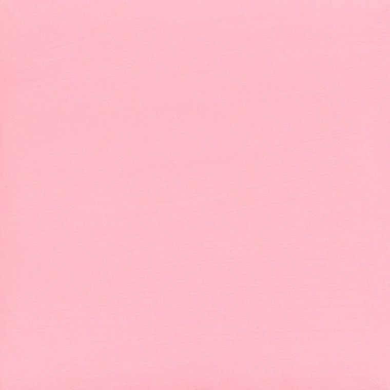 little bird banner image