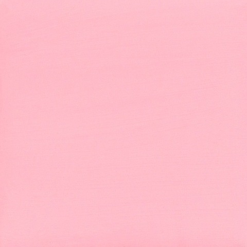 little bird cover image