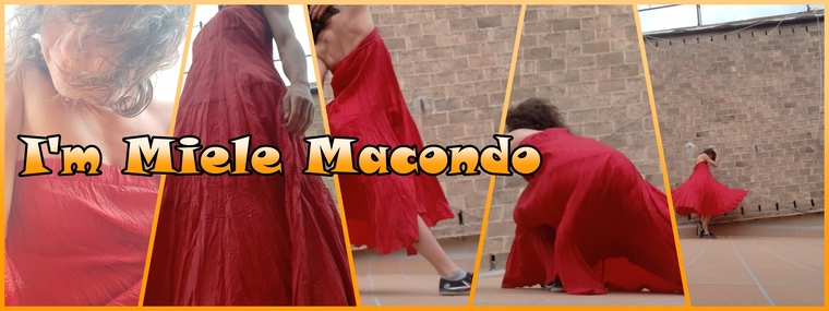 Miele Macondo banner image