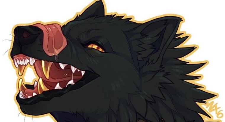J_privado banner image