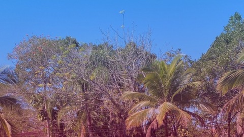 mikexs cover image