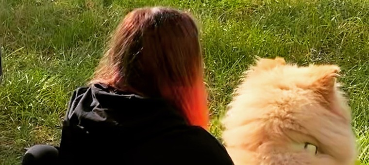 Miko banner image