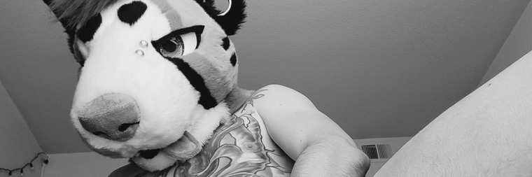 Ascher ๐ฆ banner image