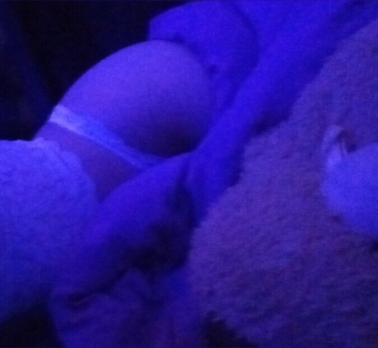 Hotkitten 🫶 banner image
