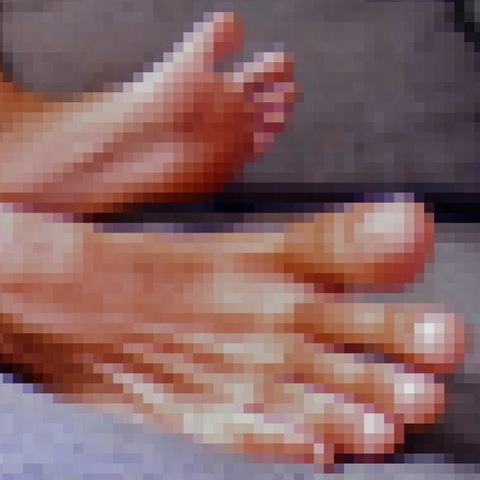 MilkRob cover image