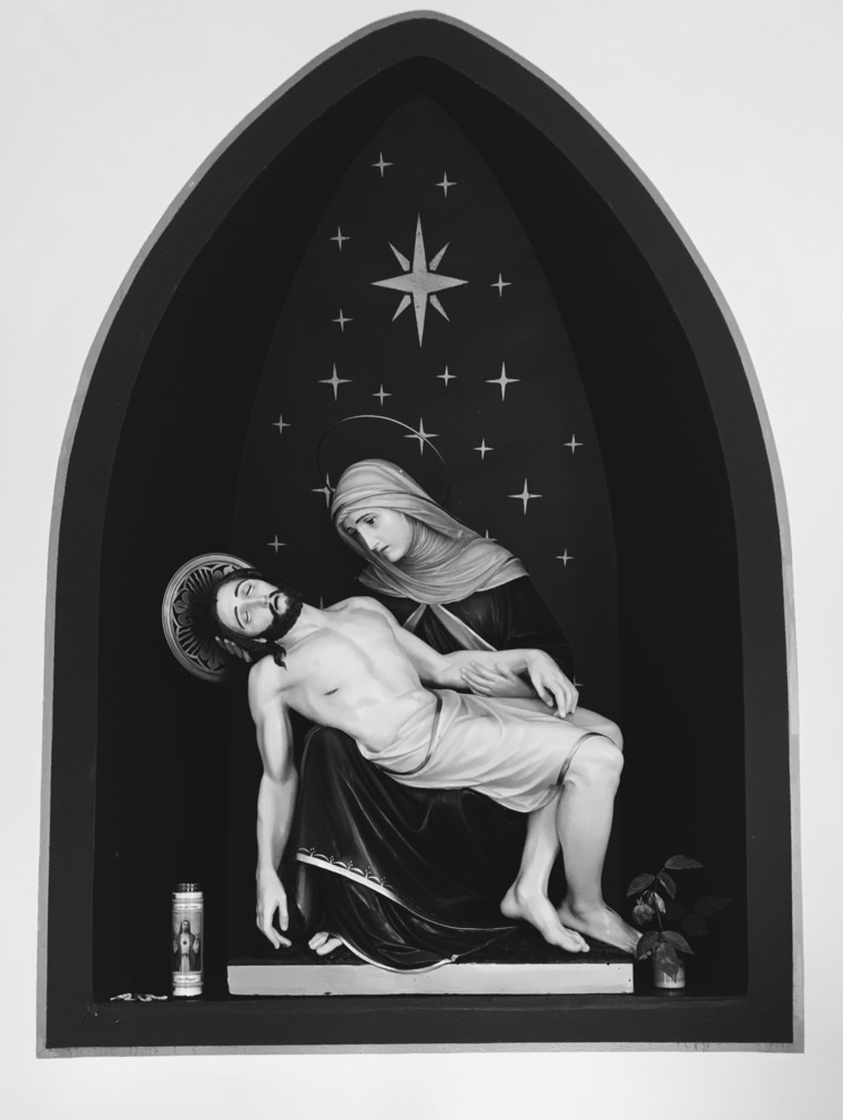 Thistle cover image