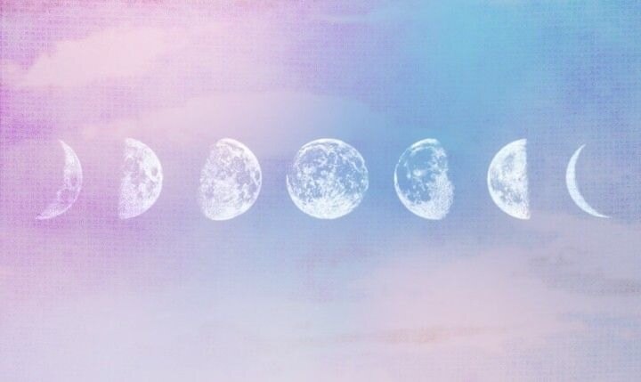 fluffybloom banner image