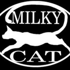 milky-cat avatar