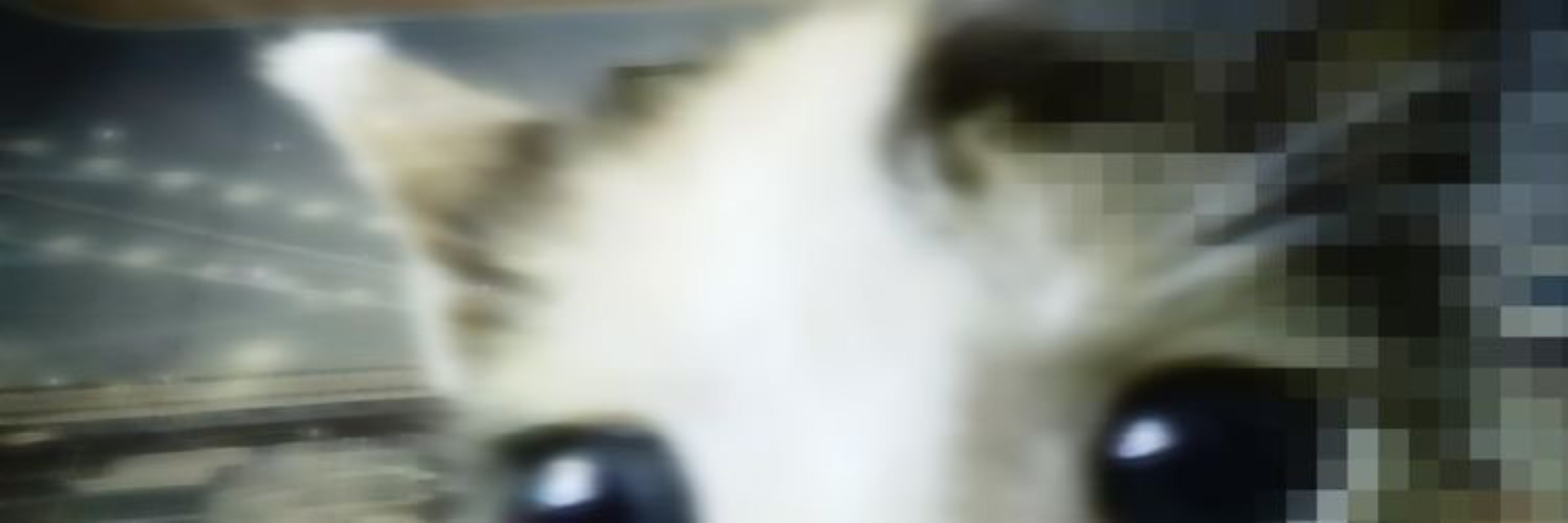 millie banner image