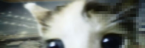 millie cover image