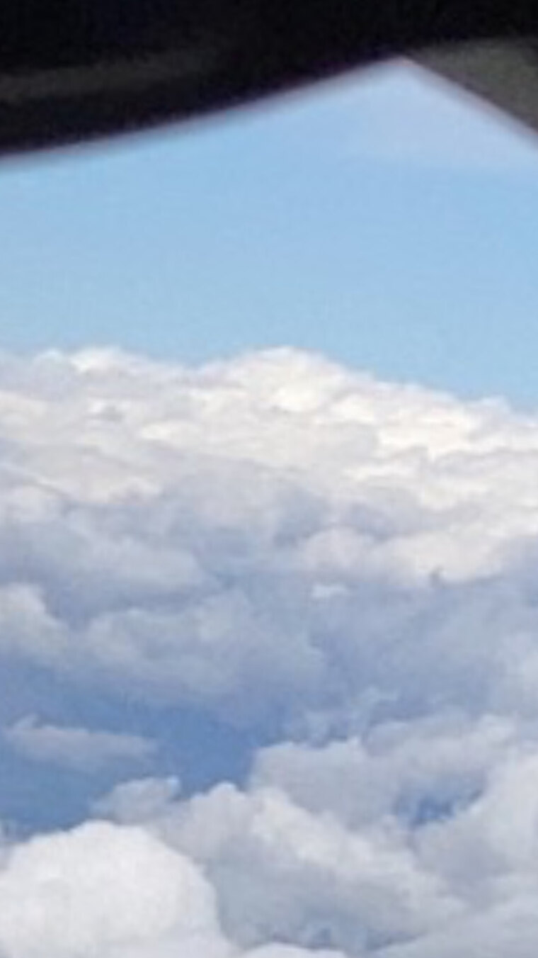 Milo Bliss banner image