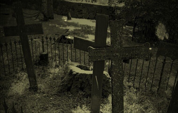 Mimi De Morfin banner image