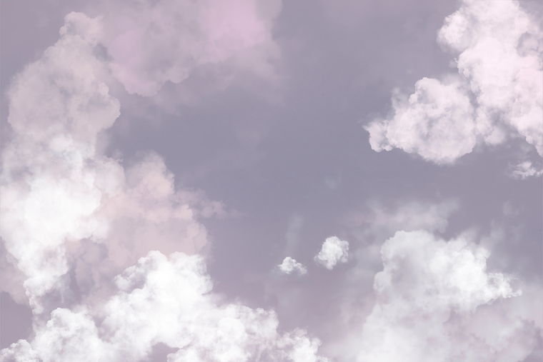 Mina banner image