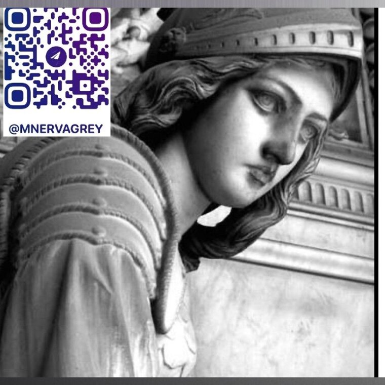 Minerva cover image
