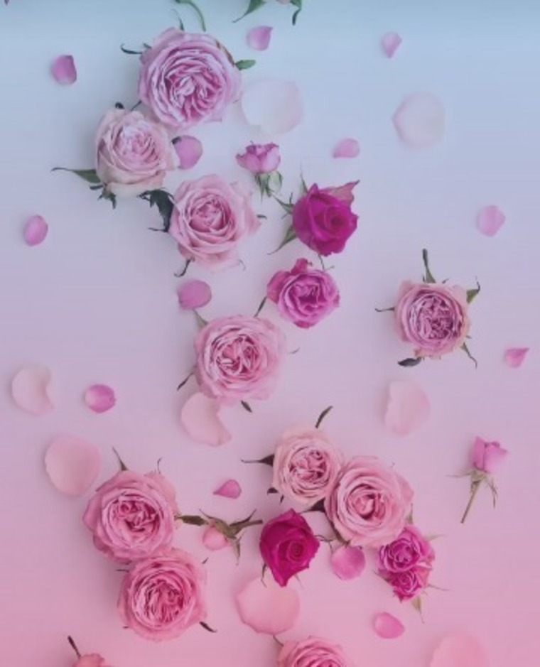 Minkaa Petals banner image
