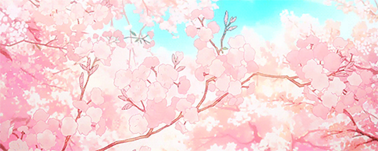 Wawa cover image