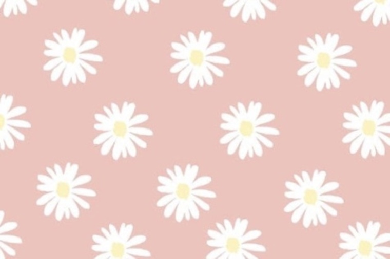 brookie banner image