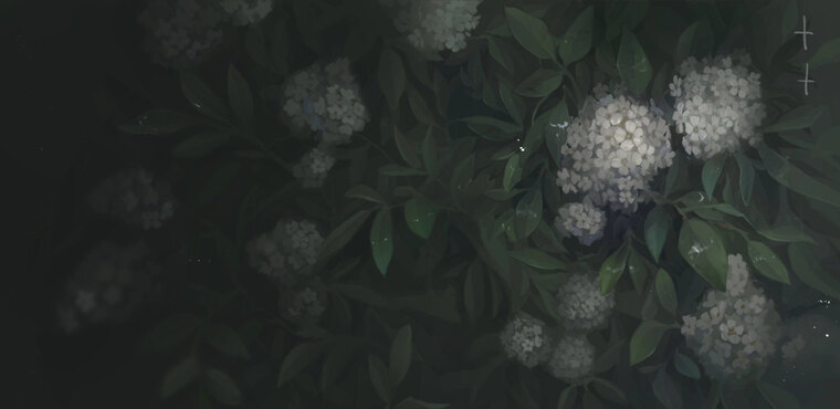 MioMio cover image