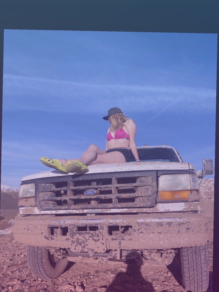 Miranda Daisy cover image