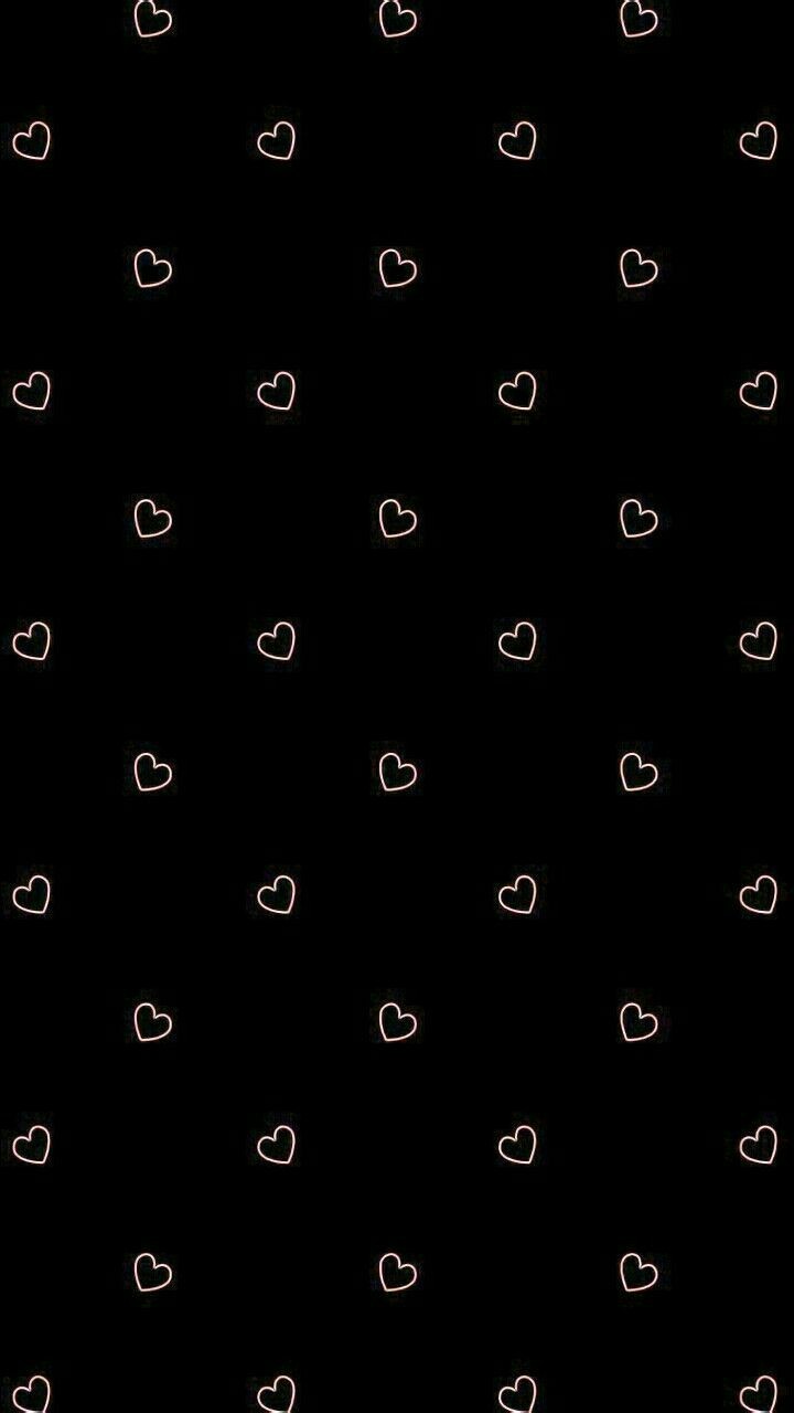 Mirly Kitten banner image
