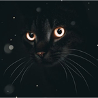 Miryam Melek avatar