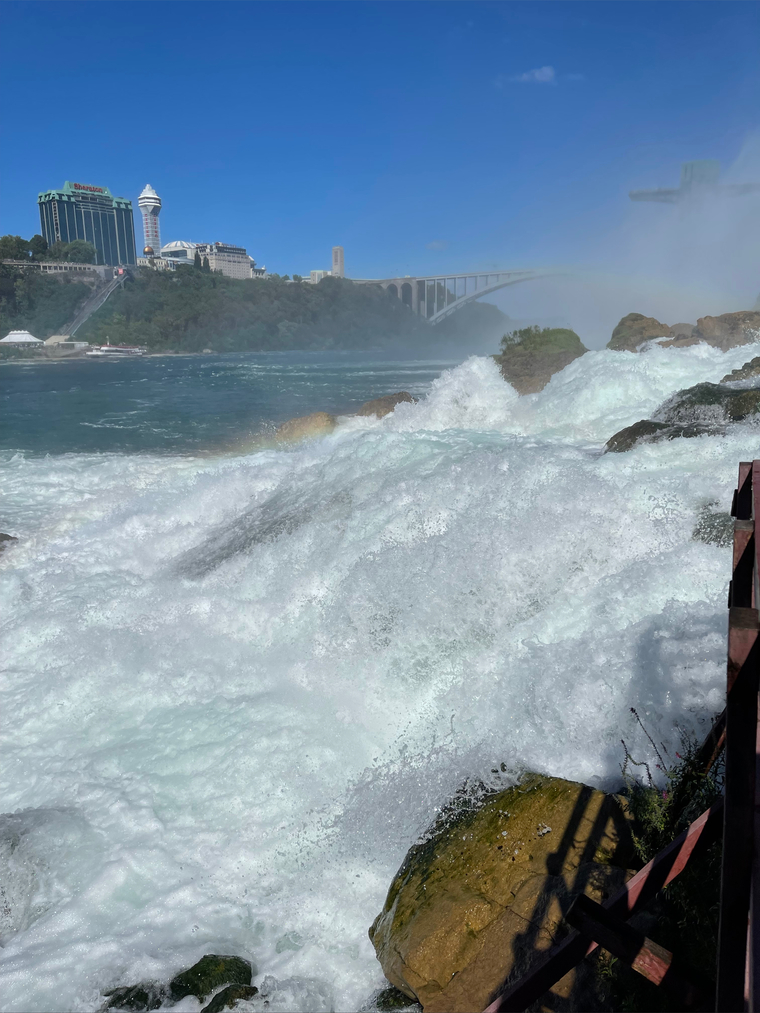 Haz4Shore! banner image