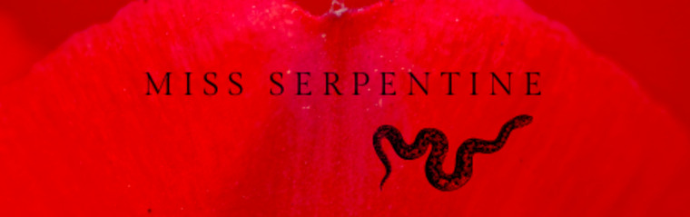 Miss Serpentine 🐍 cover image