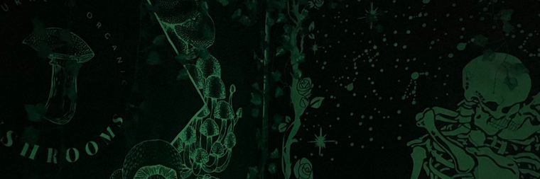 veronica rose cover image